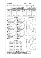 21 Schreib- und Lesetraining 2-3.pdf